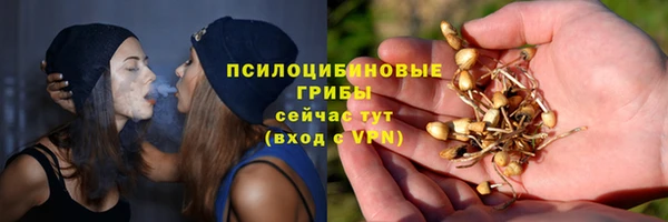 ALPHA-PVP Дмитриев