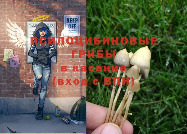 ALPHA-PVP Дмитриев