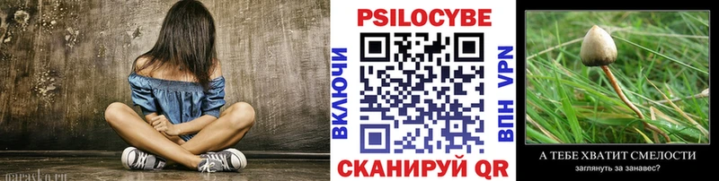 Купить  Торопец  Псилоцибиновые грибы MAGIC MUSHROOMS 