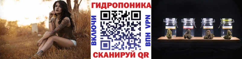 Купить  Торопец  Канабис AK-47 